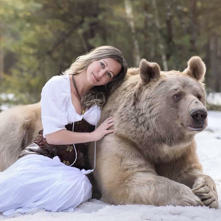 Фотосессия с медведем в Москве. Цена от 30 000 руб/час